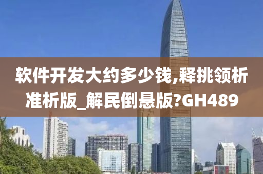 软件开发大约多少钱,释挑领析准析版_解民倒悬版?GH489