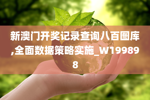 新澳门开奖记录查询八百图库,全面数据策略实施_W199898