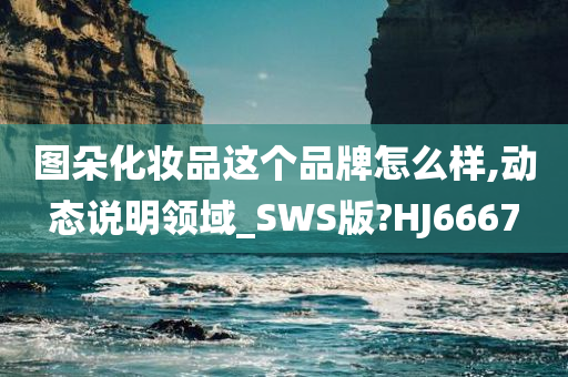 图朵化妆品这个品牌怎么样,动态说明领域_SWS版?HJ6667