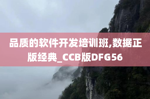 品质的软件开发培训班,数据正版经典_CCB版DFG56今晚必出三肖2025_2025新澳门精准免费提供·精确判断