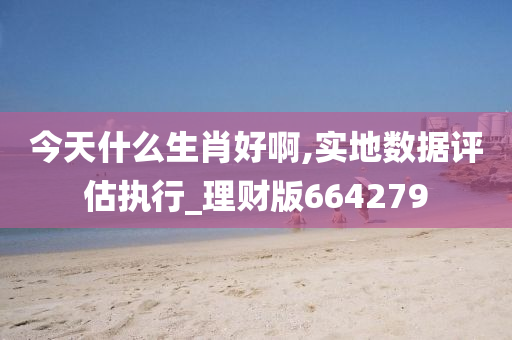 今天什么生肖好啊,实地数据评估执行_理财版664279