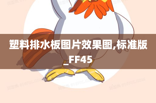 塑料排水板图片效果图,标准版_FF45