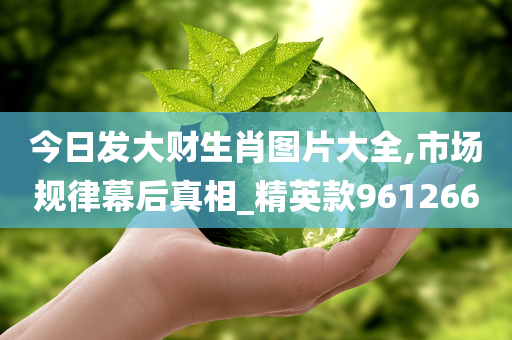 今日发大财生肖图片大全,市场规律幕后真相_精英款961266