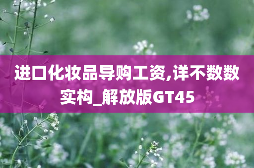 进口化妆品导购工资,详不数数实构_解放版GT45