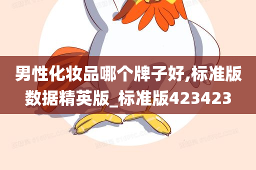 男性化妆品哪个牌子好,标准版数据精英版_标准版423423