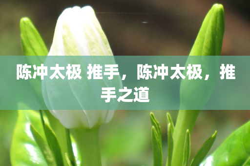 陈冲太极 推手，陈冲太极，推手之道