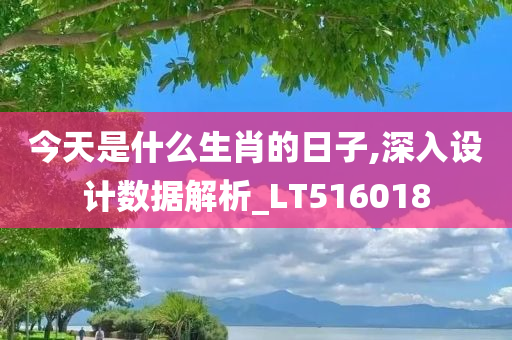 今天是什么生肖的日子,深入设计数据解析_LT516018