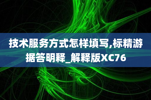 技术服务方式