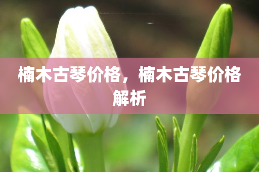 liwenzhen 第115页