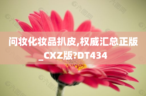 问妆化妆品扒皮,权威汇总正版_CXZ版?DT434