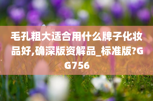 毛孔粗大适合用什么牌子化妆品好,确深版资解品_标准版?GG756
