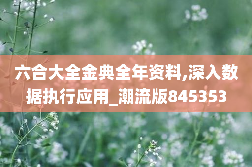六合大全金典全年资料,深入数据执行应用_潮流版845353