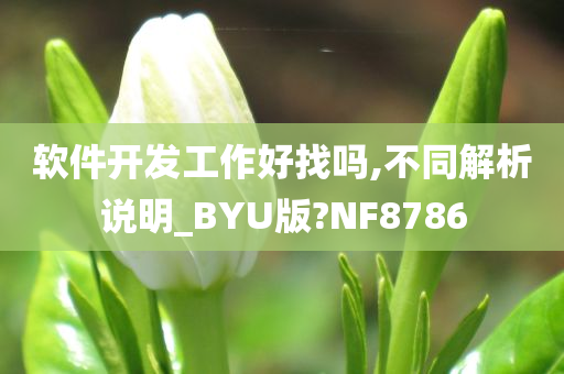 软件开发工作好找吗,不同解析说明_BYU版?NF8786