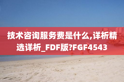 技术咨询服务费是什么,详析精选详析_FDF版?FGF4543