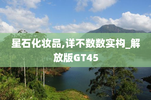 GT45 第12页