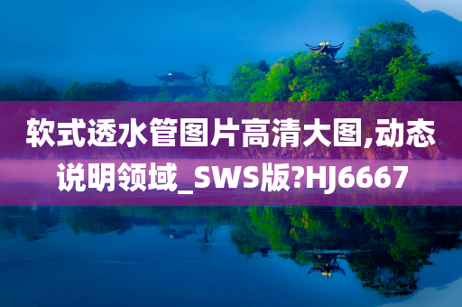 软式透水管图片高清大图,动态说明领域_SWS版?HJ6667