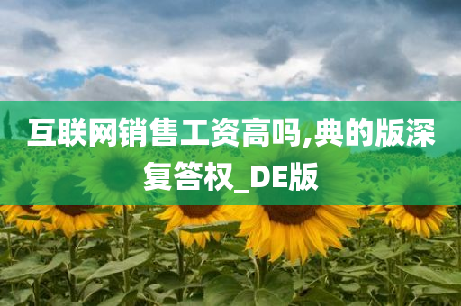 互联网销售工资高吗,典的版深复答权_DE版