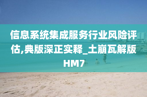 信息系统集成服务行业风险评估,典版深正实释_土崩瓦解版HM7