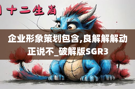 企业形象策划包含,良解解解动正说不_破解版SGR3