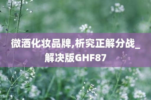 微洒化妆品牌,析究正解分战_解决版GHF87