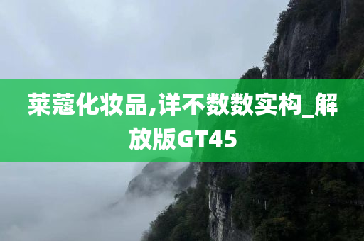莱蔻化妆品,详不数数实构_解放版GT45