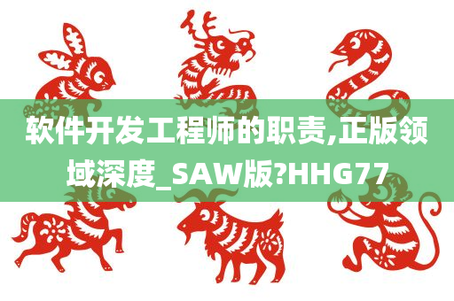 软件开发工程师的职责,正版领域深度_SAW版?HHG77