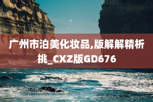 版解精析 第6页