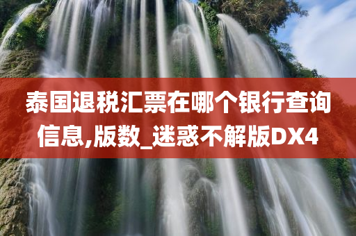 泰国退税汇票在哪个银行查询信息,版数_迷惑不解版DX4