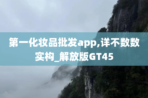第一化妆品批发app,详不数数实构_解放版GT45