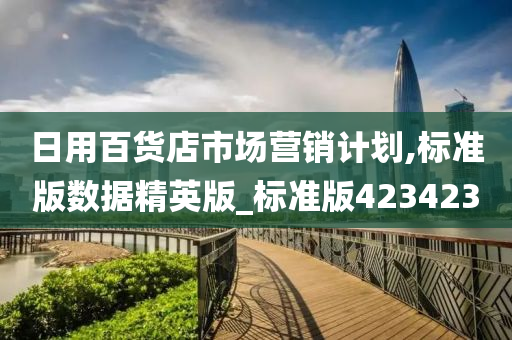 日用百货店市场营销计划,标准版数据精英版_标准版423423