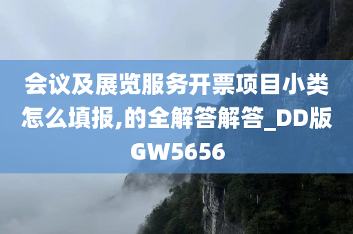 会议及展览服务开票项目小类怎么填报,的全解答解答_DD版GW5656