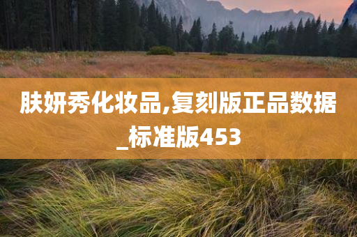肤妍秀化妆品,复刻版正品数据_标准版453
