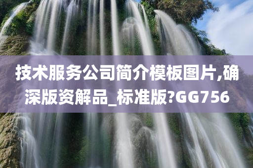技术服务公司简介模板图片,确深版资解品_标准版?GG756