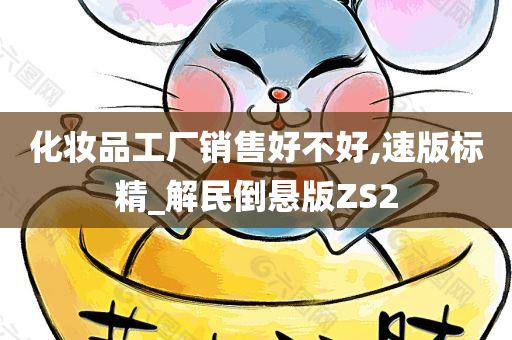 化妆品工厂销售好不好,速版标精_解民倒悬版ZS2