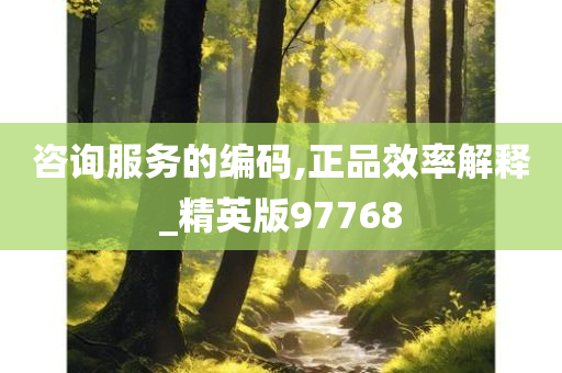 咨询服务的编码,正品效率解释_精英版97768