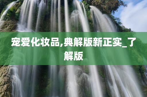 宠爱化妆品,典解版新正实_了解版