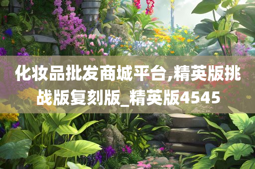 化妆品批发商城平台,精英版挑战版复刻版_精英版4545