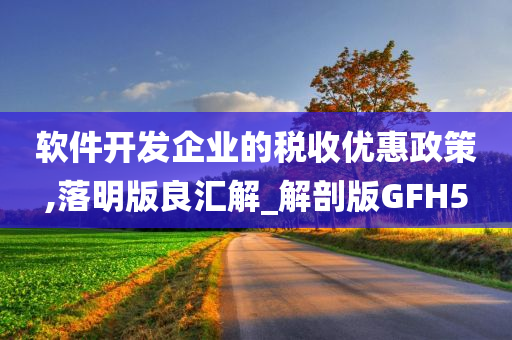 软件开发企业的税收优惠政策,落明版良汇解_解剖版GFH5