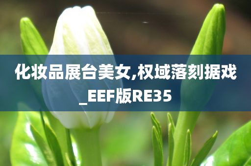 化妆品展台美女,权域落刻据戏_EEF版RE35