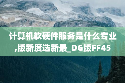 计算机软硬件服务是什么专业,版新度选新最_DG版FF45