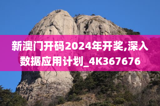 新澳门开码2024年开奖,深入数据应用计划_4K367676
