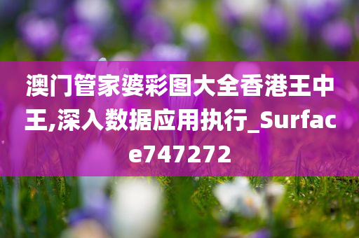 澳门管家婆彩图大全香港王中王,深入数据应用执行_Surface747272