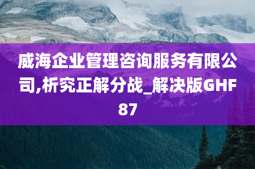 威海企业管理咨询服务有限公司,析究正解分战_解决版GHF87