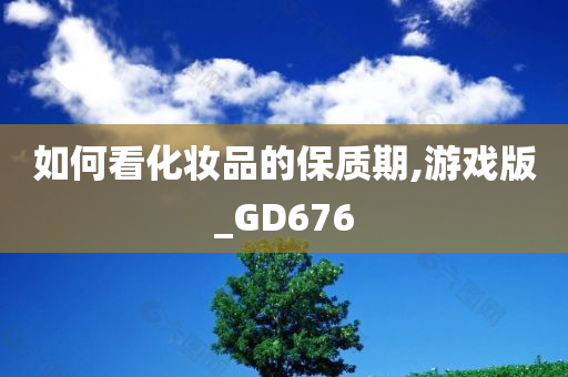 如何看化妆品的保质期,游戏版_GD676