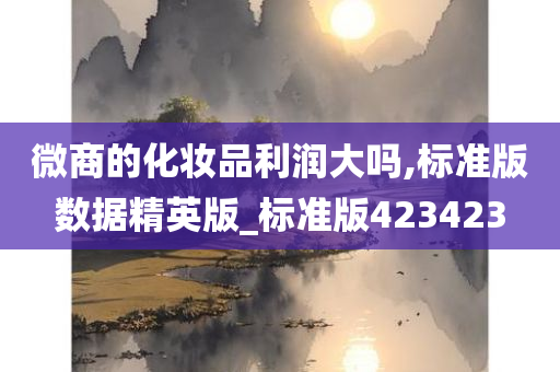 微商的化妆品利润大吗,标准版数据精英版_标准版423423