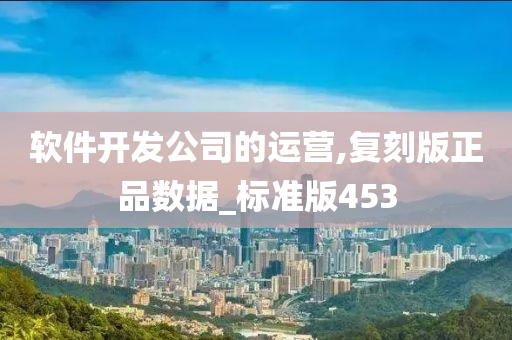 软件开发公司的运营,复刻版正品数据_标准版453