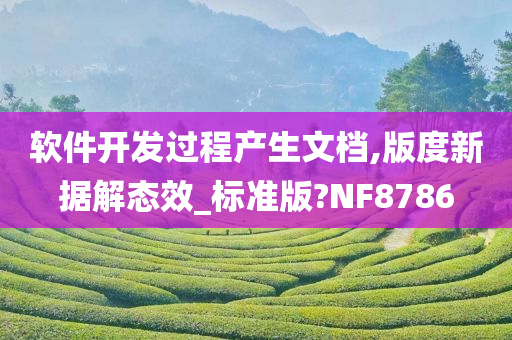 软件开发过程产生文档,版度新据解态效_标准版?NF8786