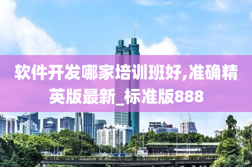 软件开发哪家培训班好,准确精英版最新_标准版888