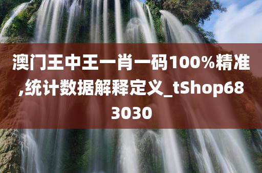澳门王中王一肖一码100%精准,统计数据解释定义_tShop683030