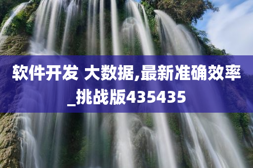 软件开发 大数据,最新准确效率_挑战版435435